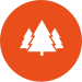 Three spruce trees icon